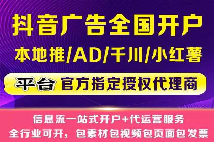 某电商平台的SEM运营实战与效果分析
